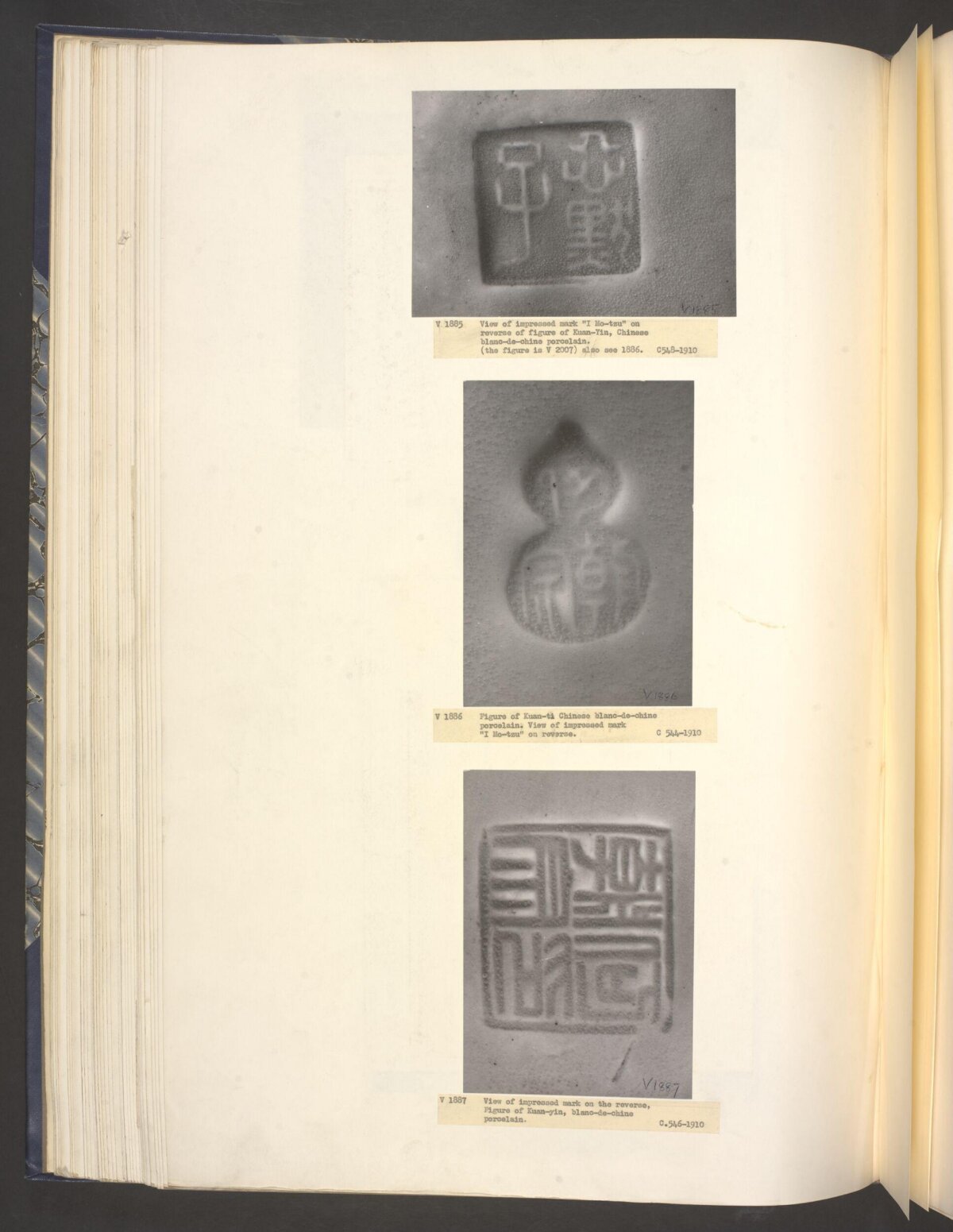 Back view (seal mark)